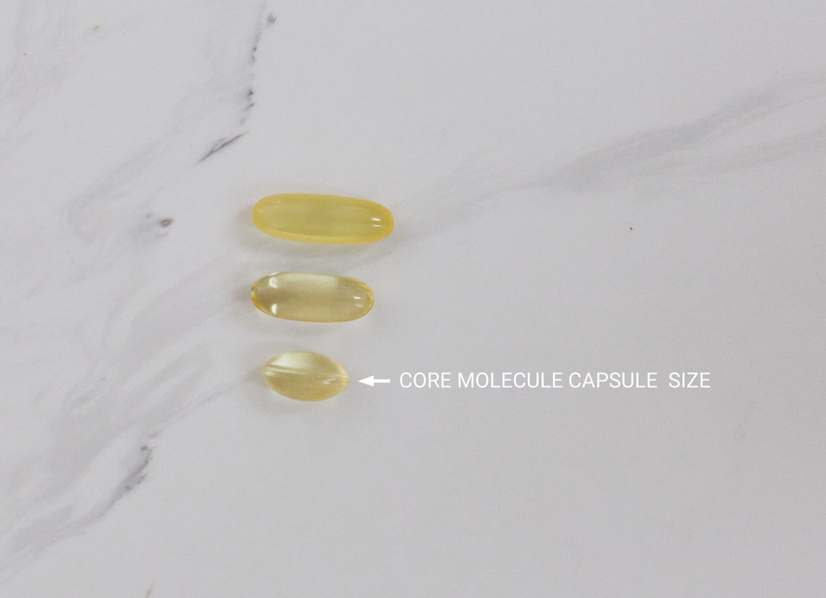 Three translucent yellow softgel capsules arranged vertically on a white marble surface, with an arrow and text reading 'CORE MOLECULE CAPSULE SIZE' pointing to the smallest capsule.